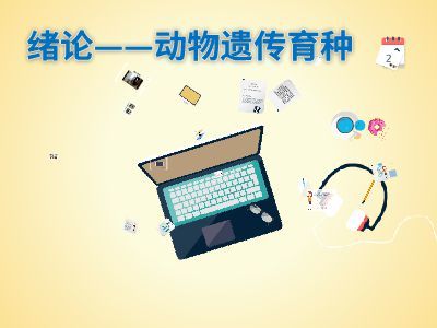 緒論 軟件設(shè)計(jì)制作——從概念到成品的藝術(shù)與工程